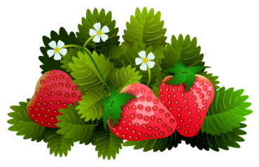 Bush of ripe strawberries