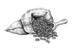 Bag of coffee
