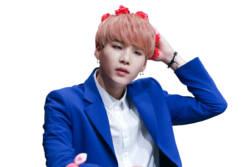 SUGA,BTS,ARMY