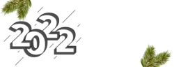 2022,Christmas tree,christmas