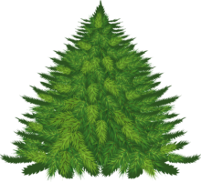 New Year’s tree