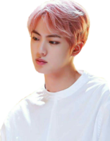 BTS Jin