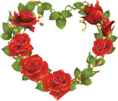Roses heart