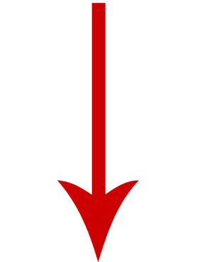 Red arrow down, icon