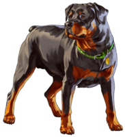 GTA, Franklin’s rottweiler