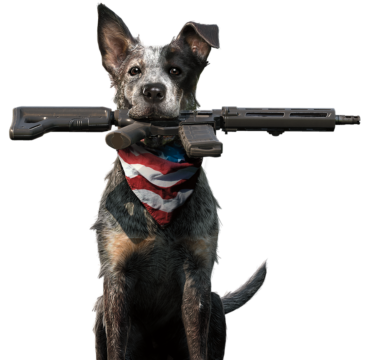 Far cry 5, Dog Boomer