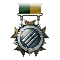 Medal from Battlefield