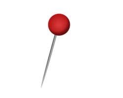 Pin