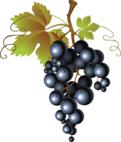 Grapes, food, png