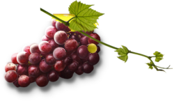 Food, grapes, png, delicious