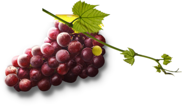 Food, grapes, png, delicious