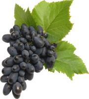 Food, grapes, delicious, png