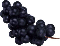 Food, grapes, sweet, png