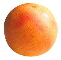Grapefruit, food, png, fruit