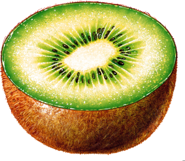 Fruit, kiwi, png