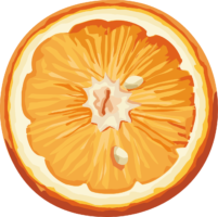 Food, orange, png, art, drawing