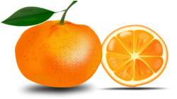 Food, orange, png