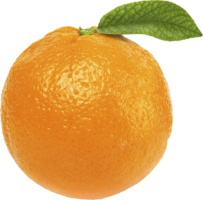 Orange, food, fruit, png