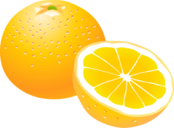 Orange, drawing, art, food, png