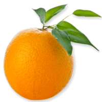 Orange, Png