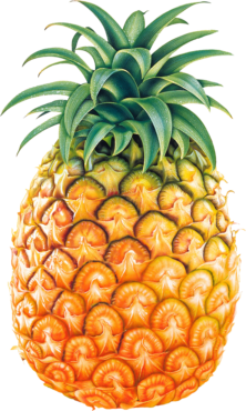 Pineapple, food, png