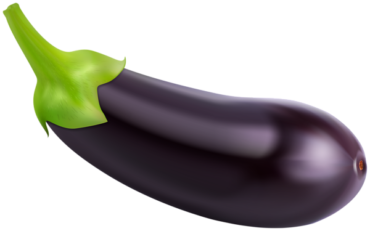 Eggplant, vector, art