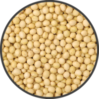 Grains, beans, vegetables