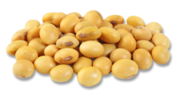 Grains, vegetables, beans, pod