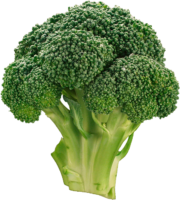 Vegetables, broccoli