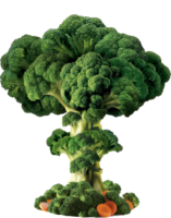 Vegetables, broccoli, food