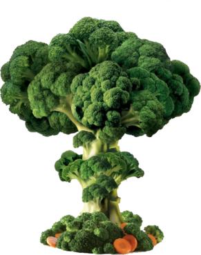 Vegetables, broccoli, food