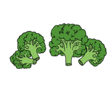 Broccoli, food, art, drawing