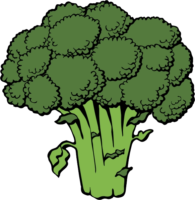 Broccoli, vegetables, food