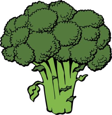 Broccoli, vegetables, food
