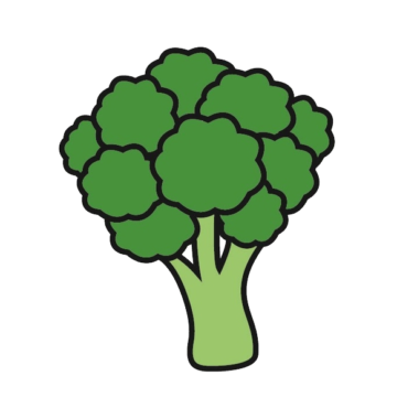 Broccoli, drawing, vector