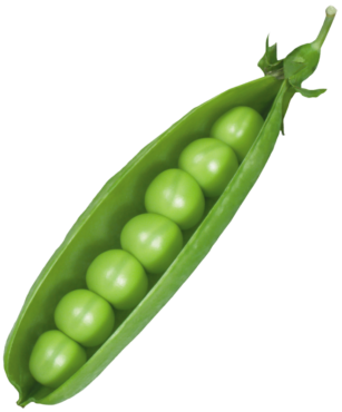 Green peas, vegetables, png