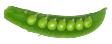 Green peas, vegetables, png food