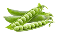 Green peas, vegetables, food, png