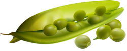 Green peas, food, vegetables, png