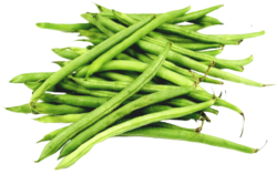 Beans, asparagus, png