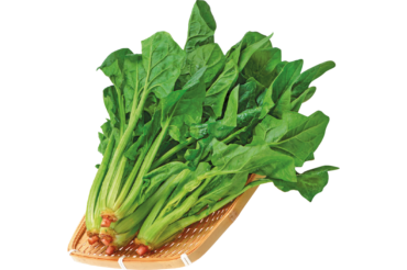 Spinach, png