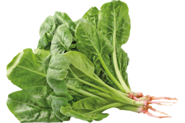 Fresh spinach, png