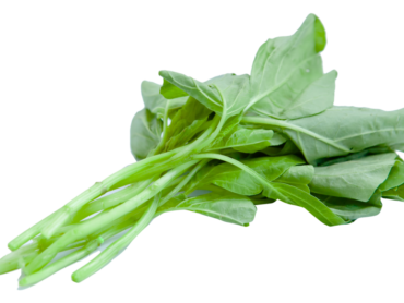 Spinach stalks, png