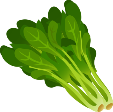 Spinach, vector, png