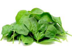 Fresh spinach, greens, leaves png