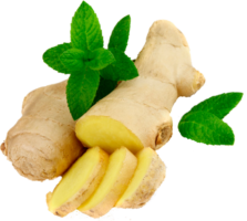 Ginger, png
