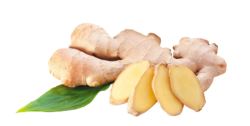 Ginger, plant, root png
