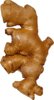 Ginger root, png