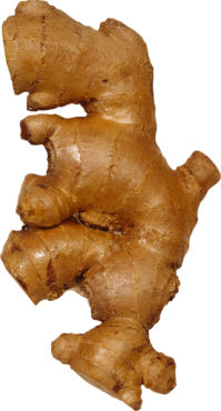 Ginger root, png