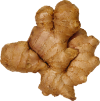 Fresh ginger, png